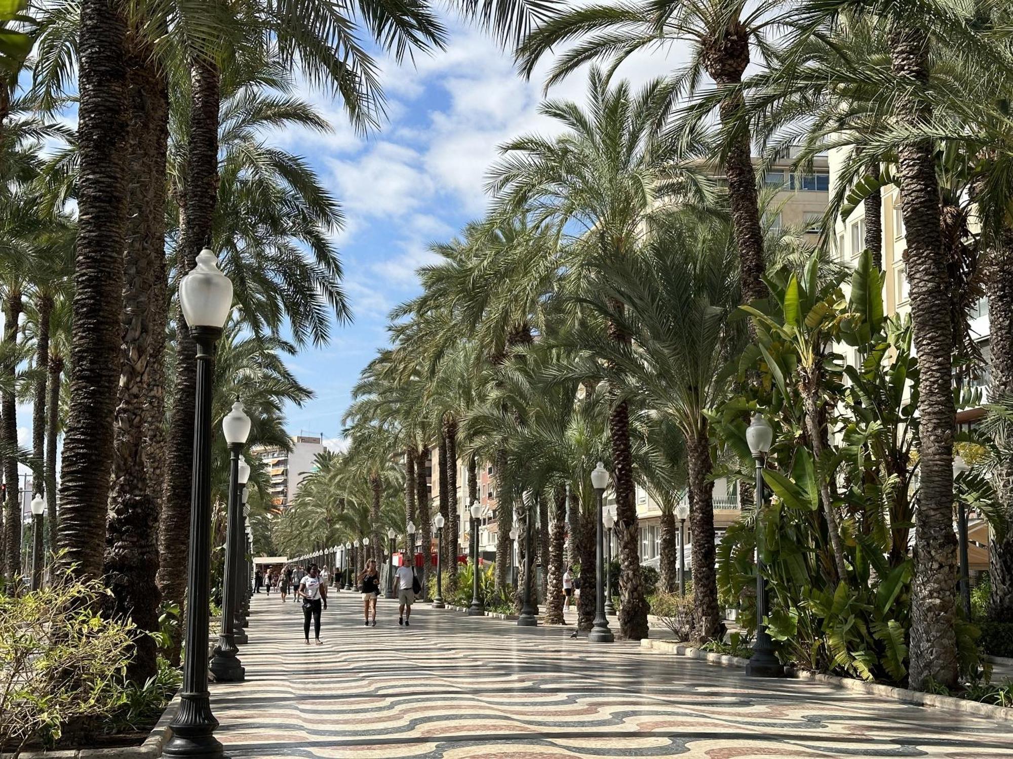 Luceros 310 New Apartment Alicante Ngoại thất bức ảnh